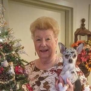 Meet your Posher, Sue